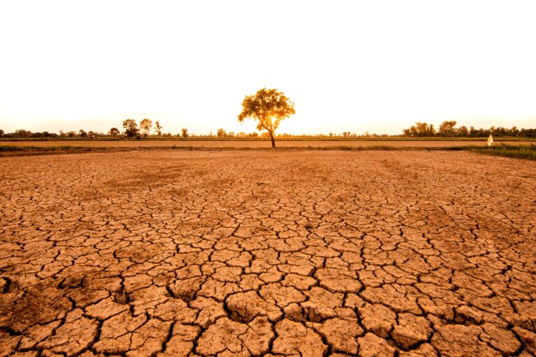 El Niño Drought Land