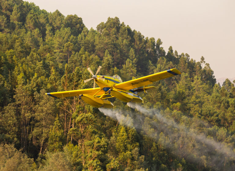 Portugal Forest Fire Fighting